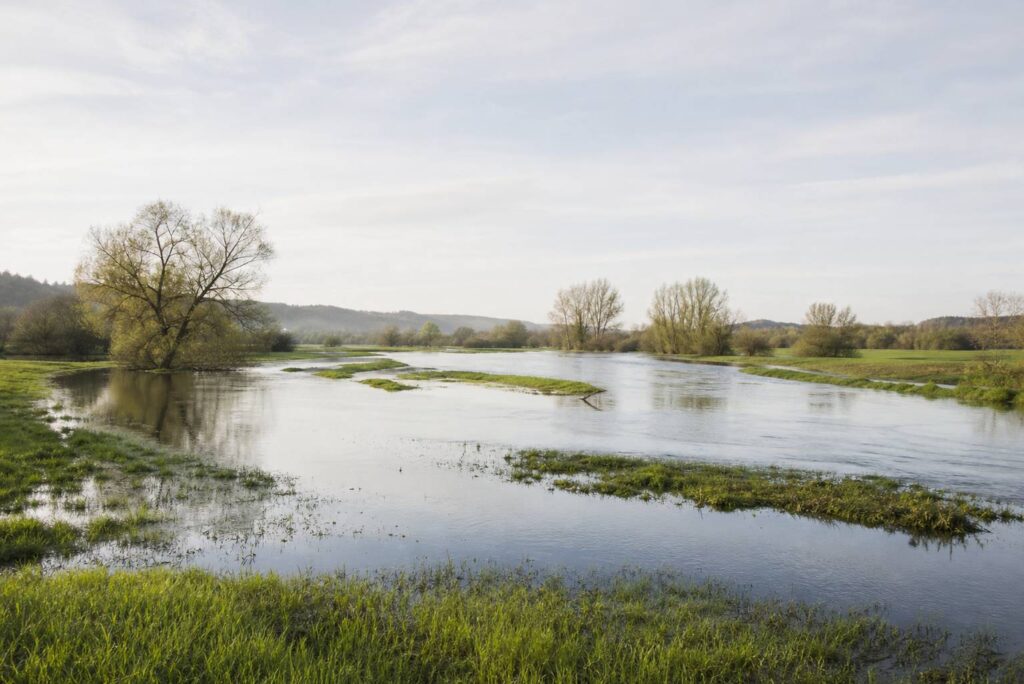 Comprendre le phénomène des inondations : causes, impacts et prévention, Comprendre les inondations : définitions