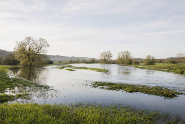 Comprendre le phénomène des inondations : causes, impacts et prévention