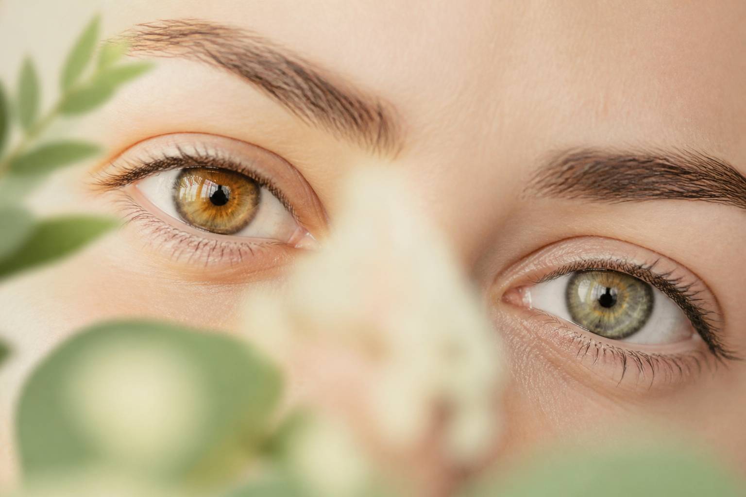 Comparaison douce d'iris de couleurs différentes dans une lumière naturelle