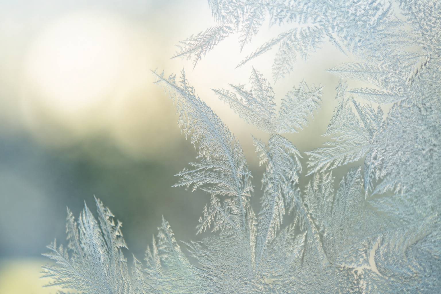 Cristaux de givre formant des motifs délicats sur une vitre au petit matin